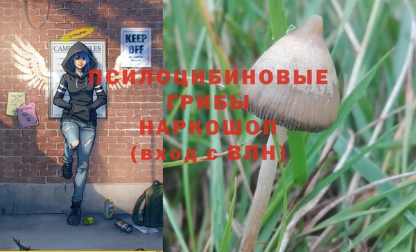 PSILOCYBIN Алексин