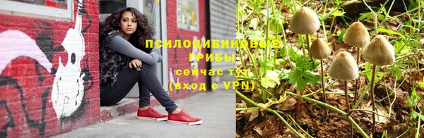 PSILOCYBIN Алексин