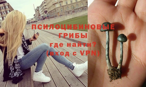 а пвп мука Алексеевка