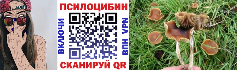 как найти наркотики  Асино  KRAKEN tor  Галлюциногенные грибы Magic Shrooms 
