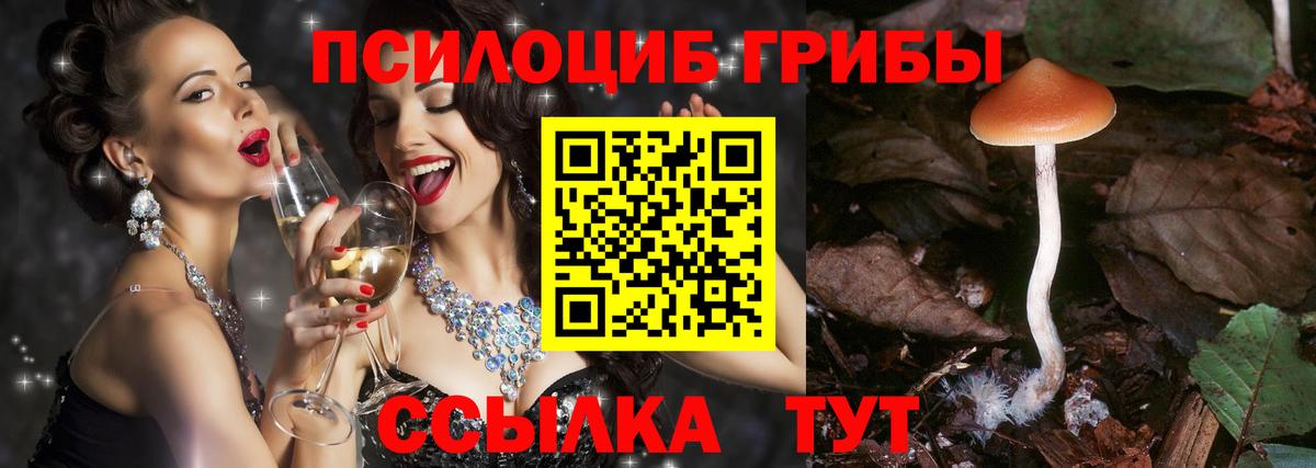 наркота  Вход с VPN  Асино  Псилоцибиновые грибы MAGIC MUSHROOMS 