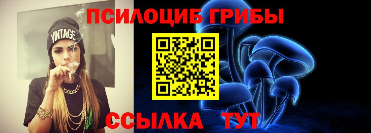 Галлюциногенные грибы прущие грибы Асино