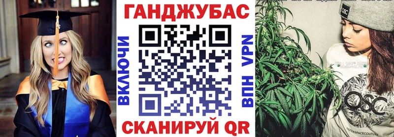 Шишки марихуана Amnesia  дарнет шоп  Асино 